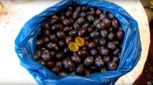 Плоды сливы