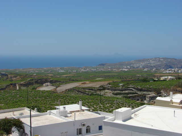 Вина Греции: особенности, история, категории, известные марки