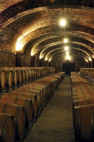 Вина «Нового Света»: список стран и особенности виноделия