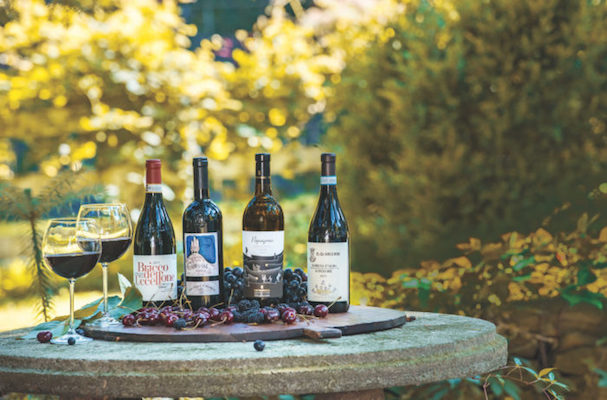 Вино Барбера: особенности, история, виды и культура пития