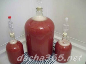 Вино из арбуза в домашних условиях по уникальному рецепту