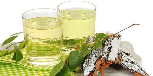 Вино из березового сока в домашних условиях