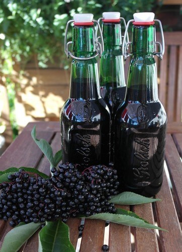 Вино из бузины в домашних условиях - рецепты из цветков и ягод