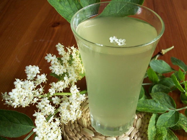 Вино из бузины в домашних условиях - рецепты из цветков и ягод