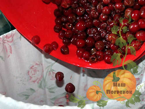 Вино из вишни с косточками в домашних условиях: простой рецепт