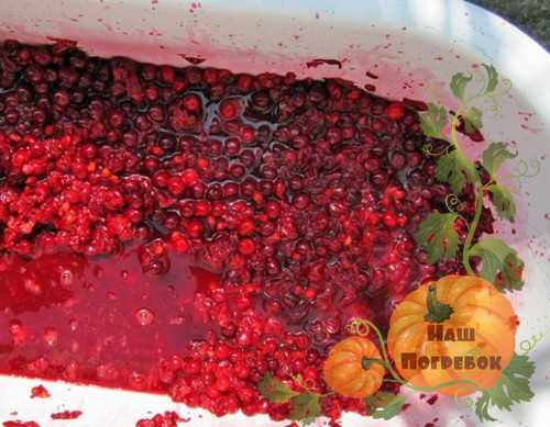 Вино из вишни с косточками в домашних условиях: простой рецепт