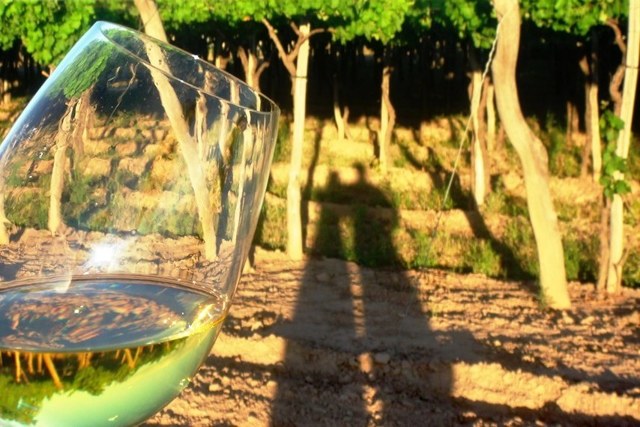 Вино Мальвазия: особенности, виды, культура употребления