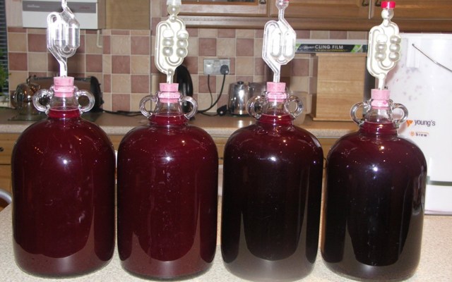 Вино очень долго бродит (дольше 55 дней), что предпринять