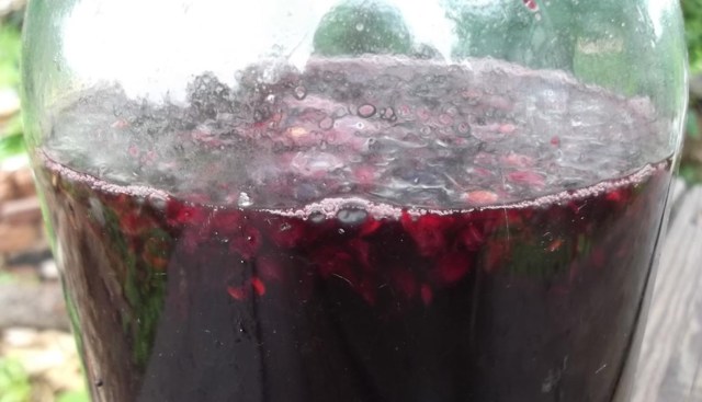 Вино очень долго бродит (дольше 55 дней), что предпринять