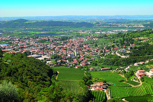 Вино Вальполичелла: особенности, виды и культура пития