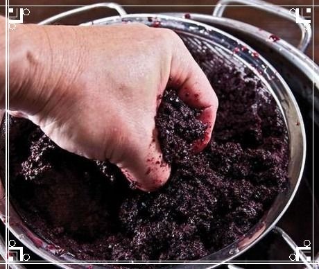 Виноградное вино в домашних условиях – универсальный рецепт