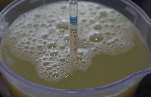 брага при самогоноварении